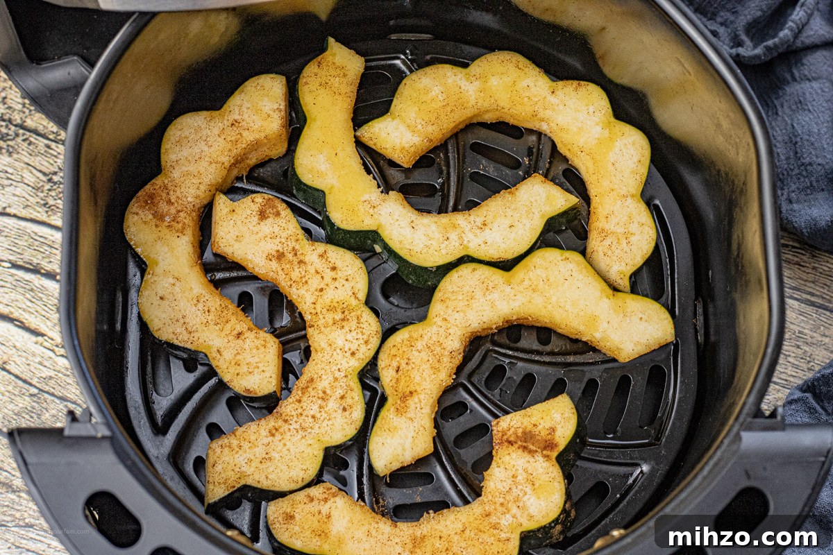 Crispy Roasted Acorn Squash in the Air Fryer 6 acorn squash slices in the basket of an air fryer