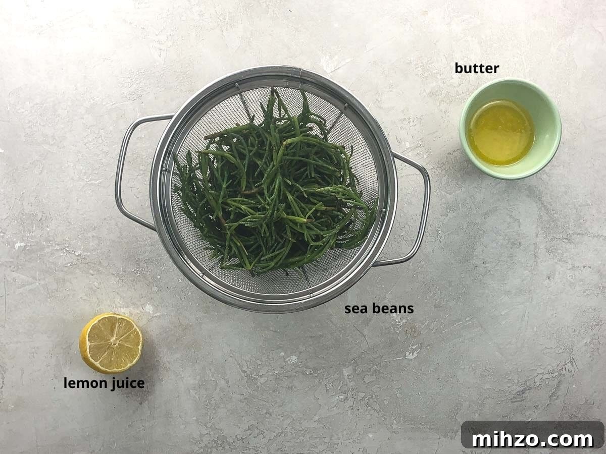 How to Cook Sea Beans (Samphire) — Simple Salicornia & Glasswort Recipe 3 ingredients in bowls