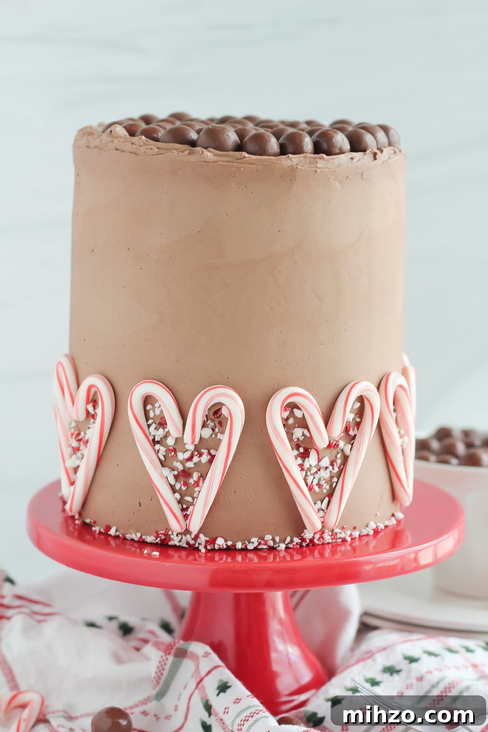Chocolate Peppermint Malt Cake Recipe for Holiday Desserts 2 img 6772 1