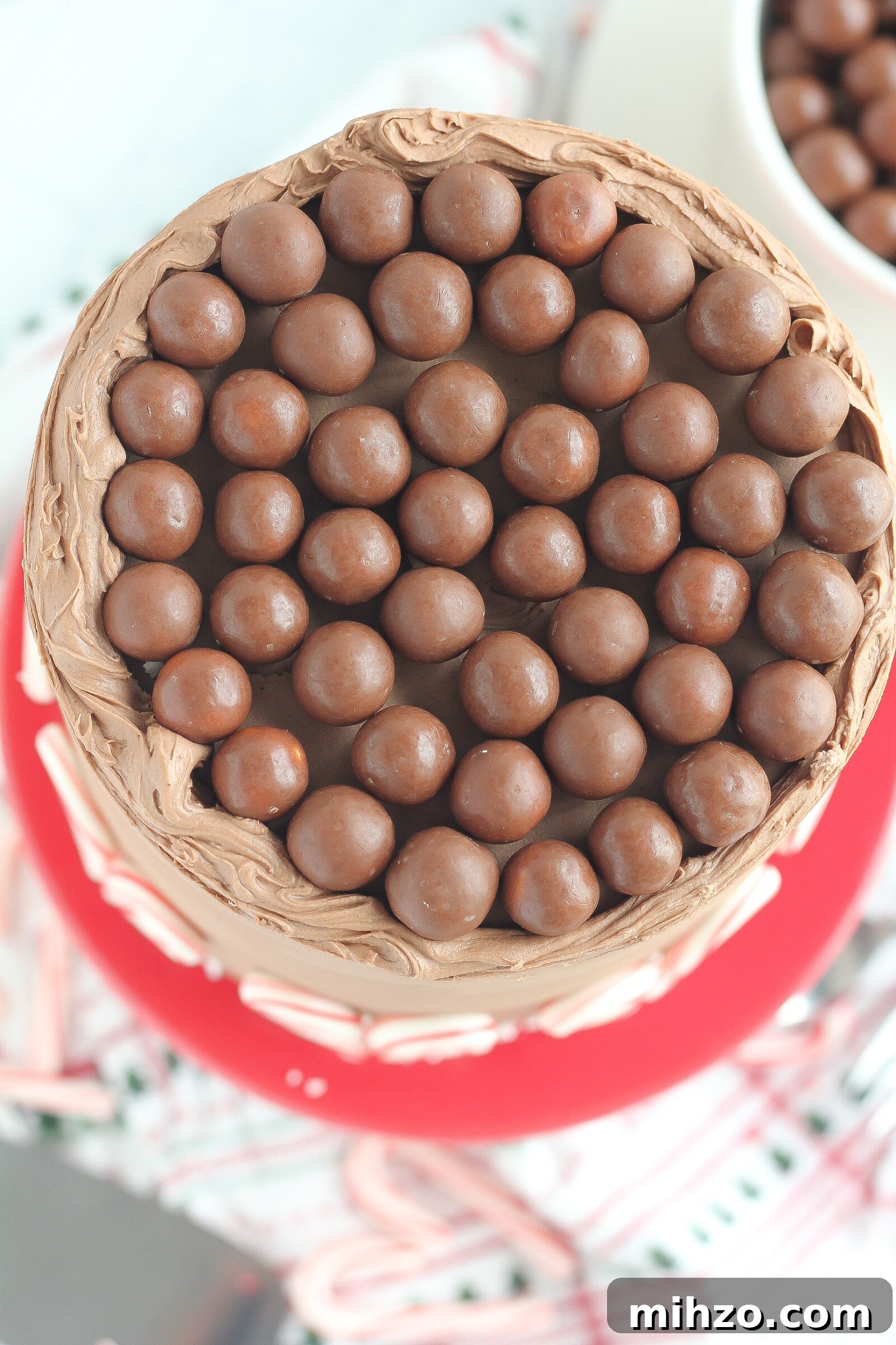 Chocolate Peppermint Malt Cake Recipe for Holiday Desserts 4 img 6772 3
