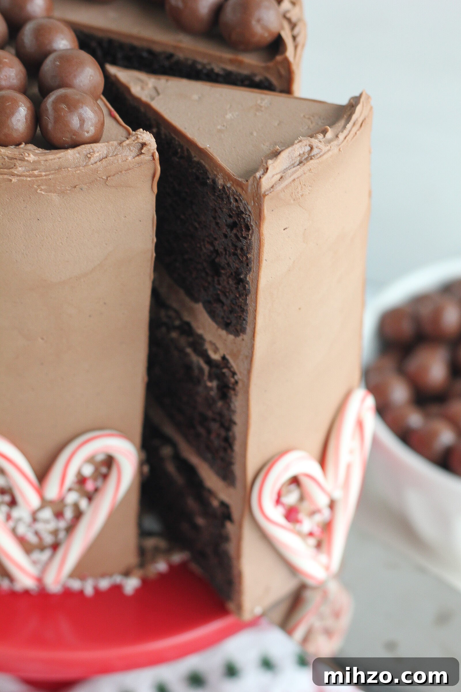 Chocolate Peppermint Malt Cake Recipe for Holiday Desserts 7 img 6772 6