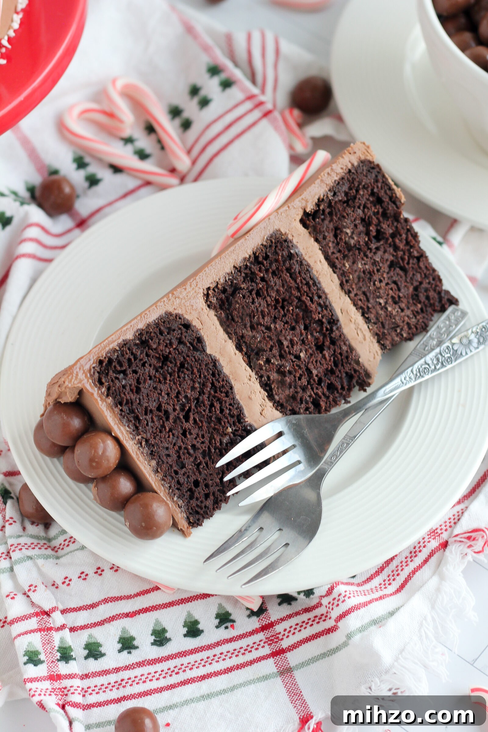 Chocolate Peppermint Malt Cake Recipe for Holiday Desserts 8 img 6772 7