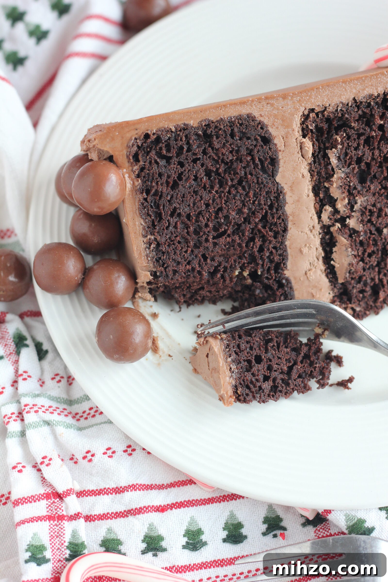 Chocolate Peppermint Malt Cake Recipe for Holiday Desserts 9 img 6772 8