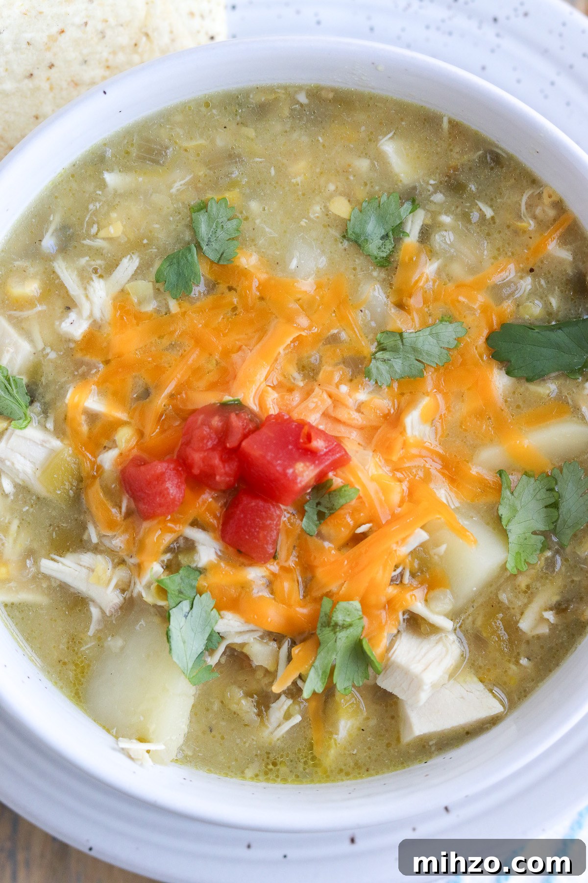 soup topped with tomatoes, melted cheese and cilantro