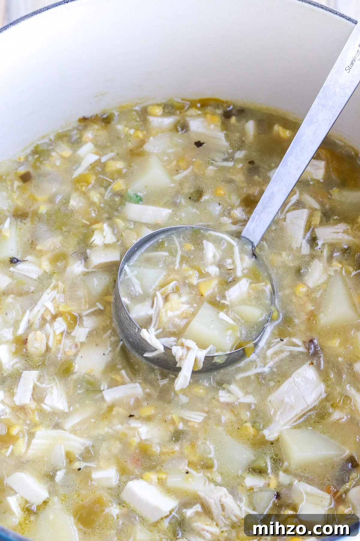a ladle of chicken soup