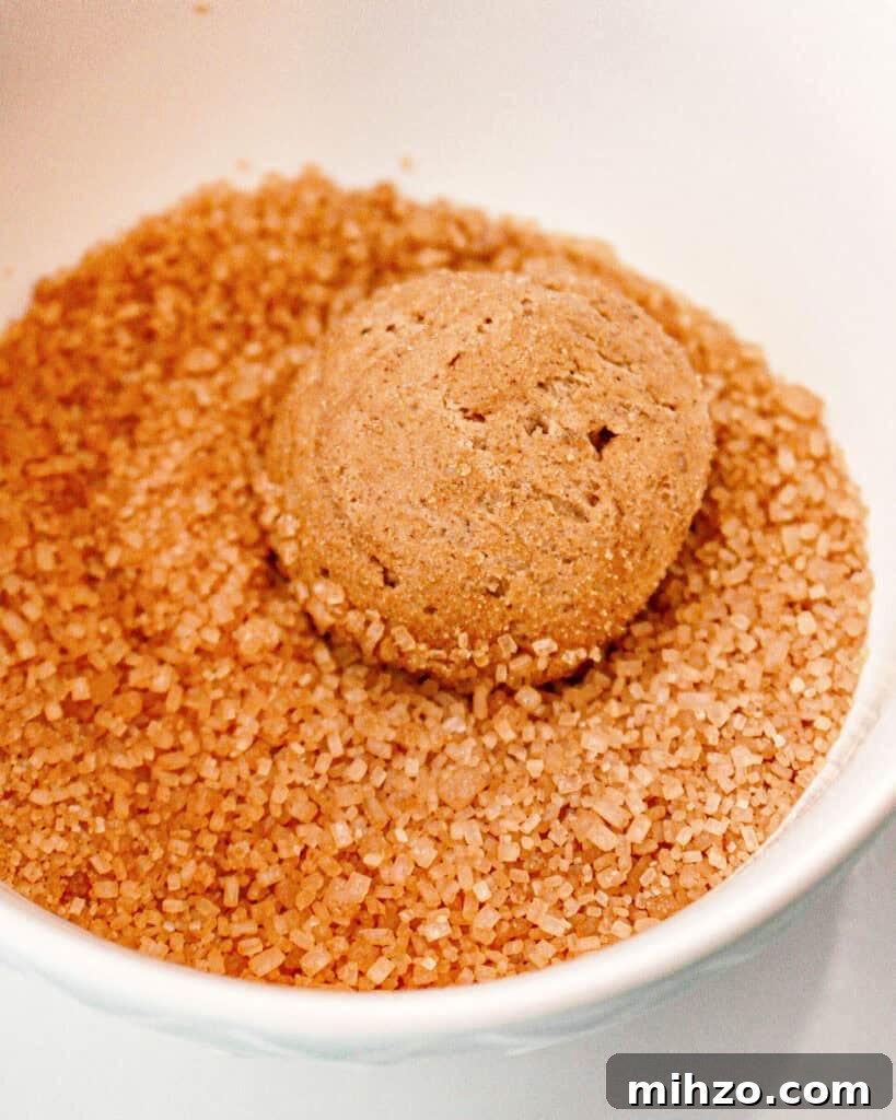Gingerbread Sandwich Cookies Recipe for the Holidays 5 Rolling gingerbread cookie ball in spiced sugar. White bowl.