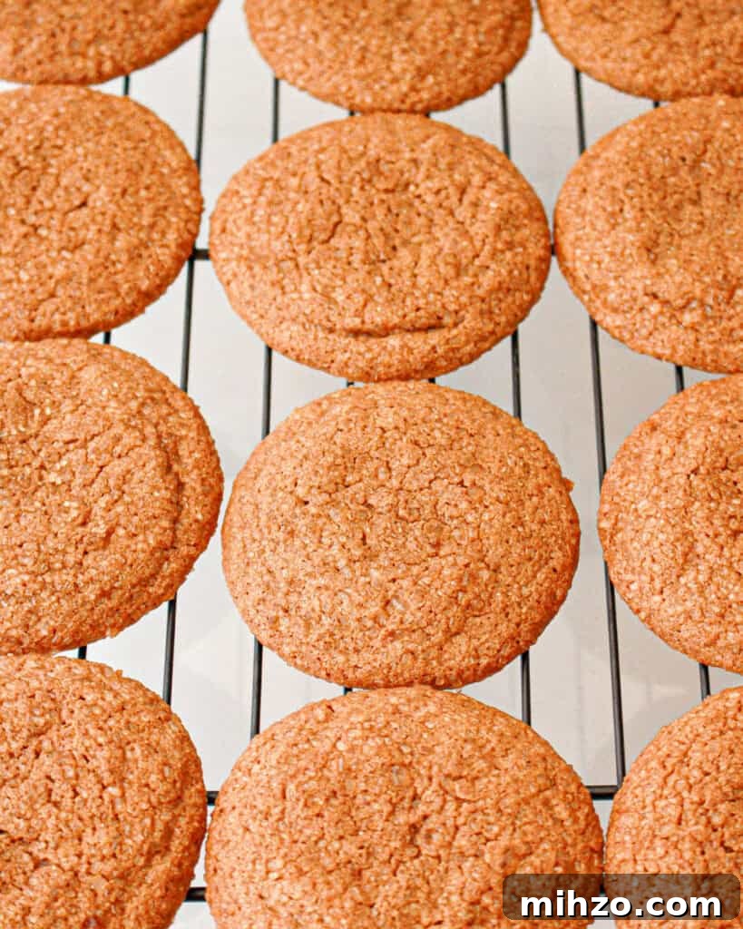 Gingerbread Sandwich Cookies Recipe for the Holidays 7 Rows of round gingerbread cookies on a cooling rack.