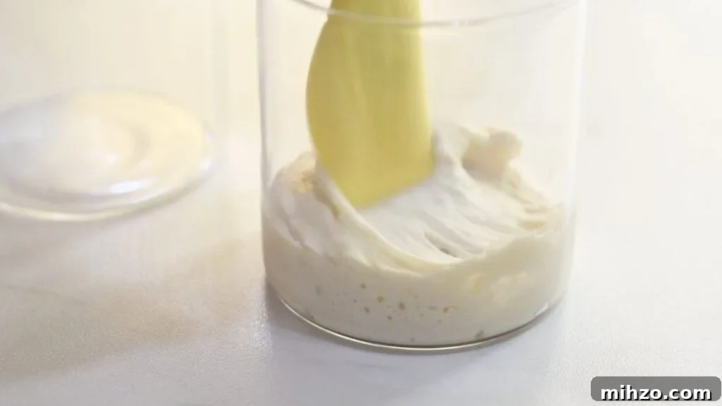 Step by step process of making sourdough starter
