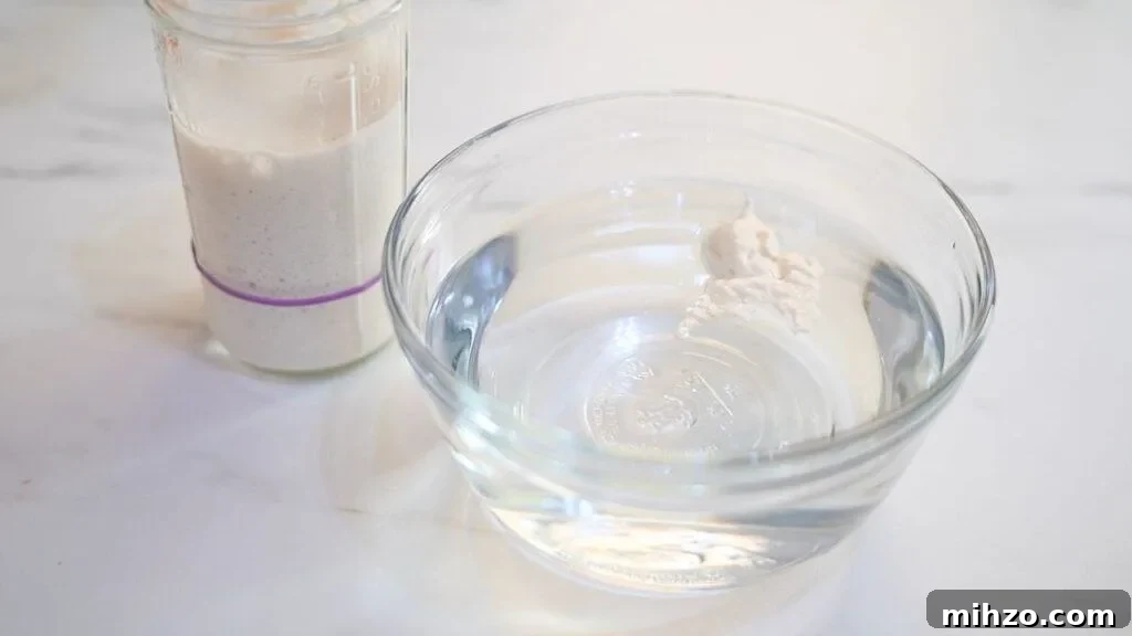 how to know your starter is ready to use