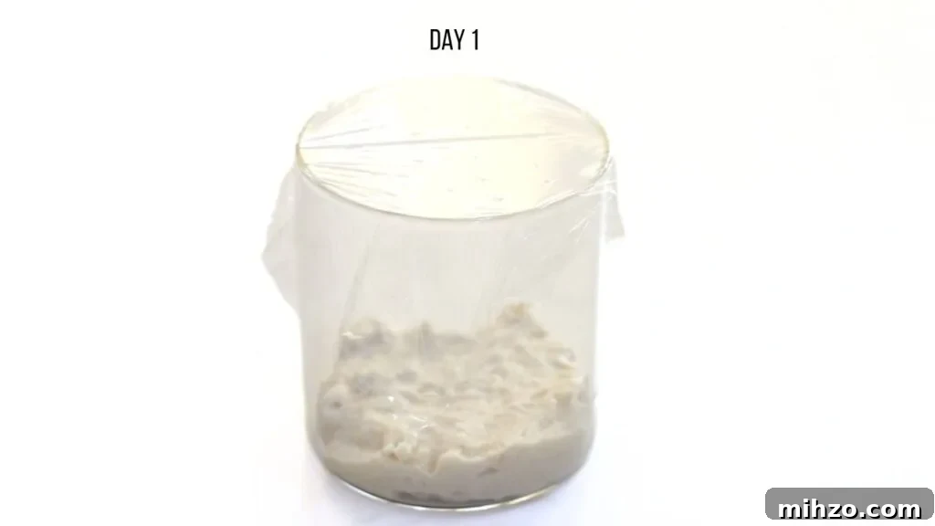 easy sourdough starter recipe