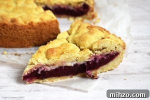 Juicy Plum Shortcake Recipe with Tender Cake and Fresh Plums 2 Plum Shortcake is a soft and buttery shortcake recipe with a Black Doris Plum filling. Refreshing and the best shortcake recipe you will find! #plumshortcake #plumcake #plumcrumblecake #plumshortcakerecipe #shortcakerecipe