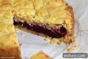 Juicy Plum Shortcake Recipe with Tender Cake and Fresh Plums 4 Plum Shortcake is a soft and buttery shortcake recipe with a Black Doris Plum filling. Refreshing and the best shortcake recipe you will find! #plumshortcake #plumcake #plumcrumblecake #plumshortcakerecipe #shortcakerecipe