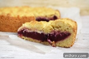 Juicy Plum Shortcake Recipe with Tender Cake and Fresh Plums 5 Plum Shortcake is a soft and buttery shortcake recipe with a Black Doris Plum filling. Refreshing and the best shortcake recipe you will find! #plumshortcake #plumcake #plumcrumblecake #plumshortcakerecipe #shortcakerecipe