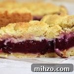 Plum Shortcake is a soft and buttery shortcake recipe with a Black Doris Plum filling. Refreshing and the best shortcake recipe you will find! #plumshortcake #plumcake #plumcrumblecake #plumshortcakerecipe #shortcakerecipe