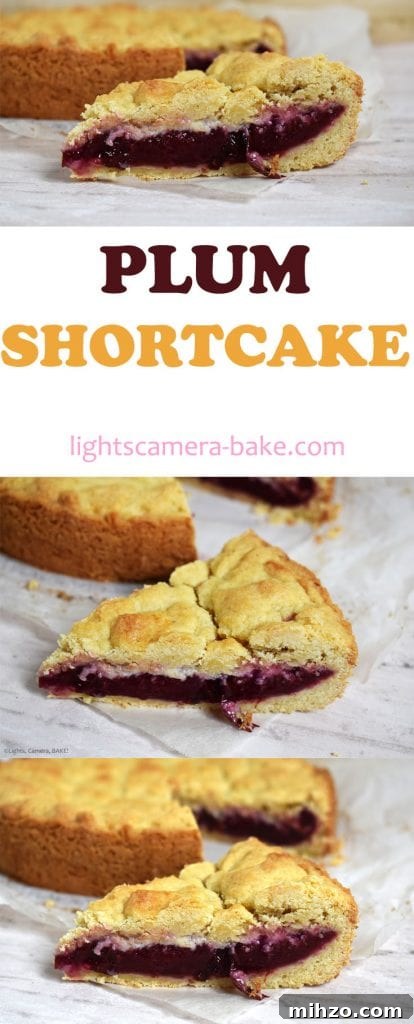 Juicy Plum Shortcake Recipe with Tender Cake and Fresh Plums 7 Plum Shortcake is a soft and buttery shortcake recipe with a Black Doris Plum filling. Refreshing and the best shortcake recipe you will find! #plumshortcake #plumcake #plumcrumblecake #plumshortcakerecipe #shortcakerecipe