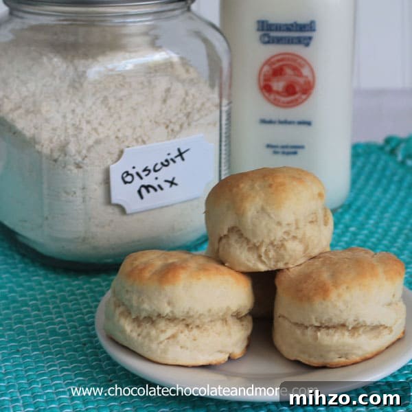 Make-Your-Own Biscuit Mix: Simple Homemade Blend for Flaky Biscuits 4 Homemade Biscuit Mix-you never have to buy the box stuff again!