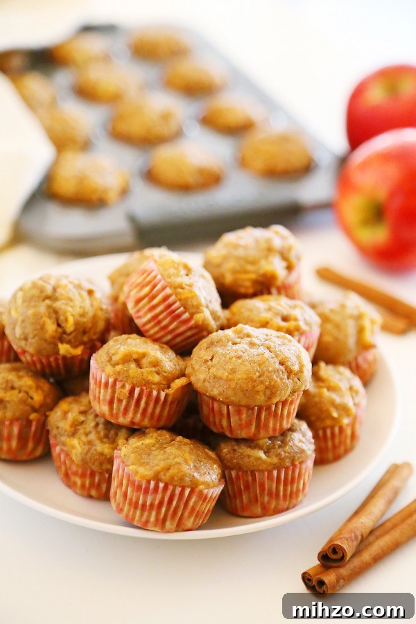 Apple Cinnamon Sweet Potato Mini Muffins - Soft whole wheat muffins with fresh sweet potato and apple bake up a delicious, healthy breakfast!