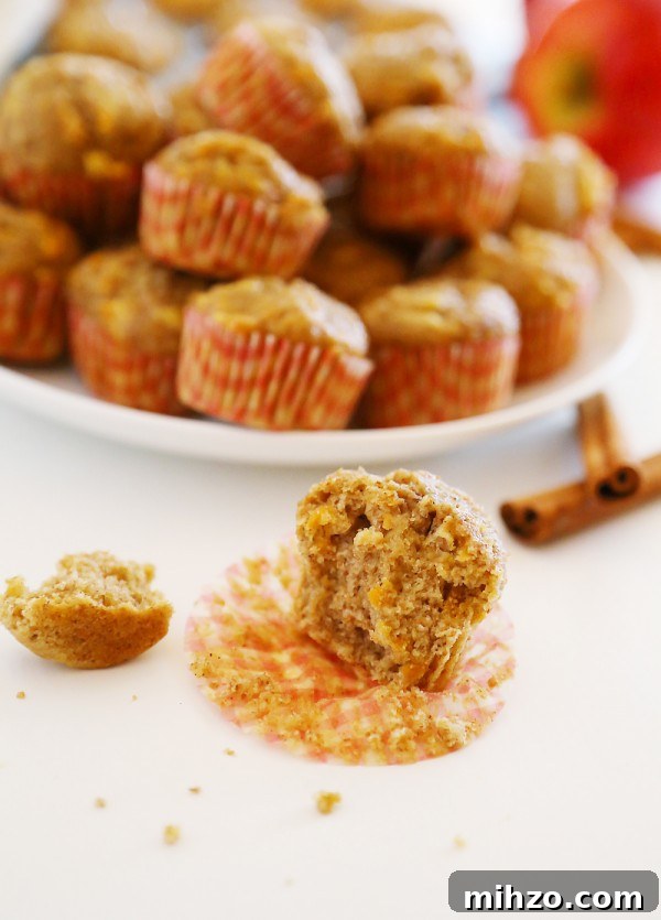 Apple Cinnamon Sweet Potato Mini Muffins - Soft whole wheat muffins with fresh sweet potato and apple bake up a delicious, healthy breakfast!