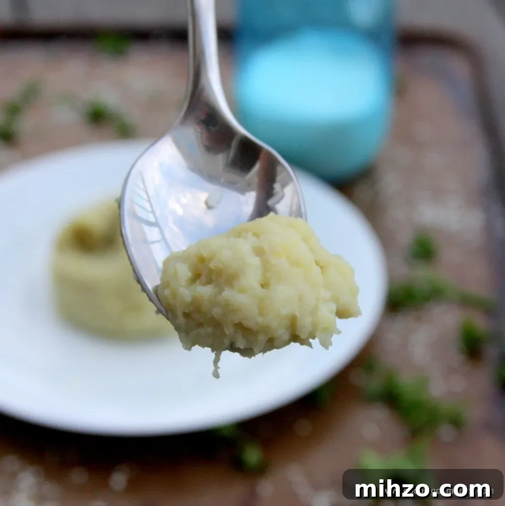 Mashed Coconut Boniato (Sweet Potato) — Dairy-Free Vegan Recipe 8 Best Mashed Sweet Potato Recipe Vegan
