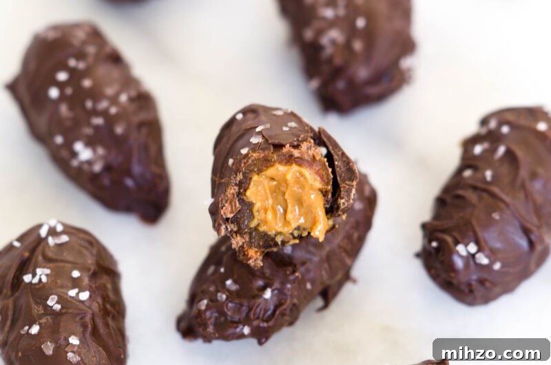 Chocolate Peanut Butter Stuffed Dates Recipe for Decadent Snacks 3 Chocolate Peanut Butter Stuffed Dates