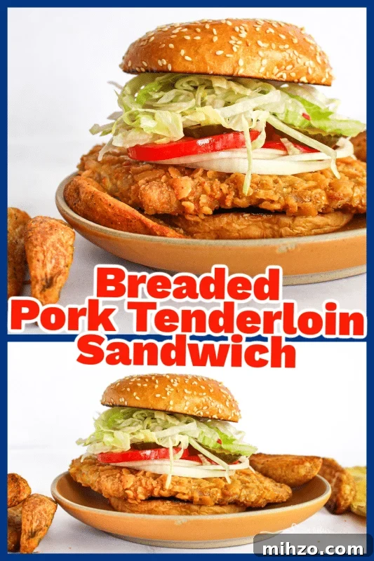 Crispy Breaded Pork Tenderloin Sandwich Recipe 11 img 83807 13