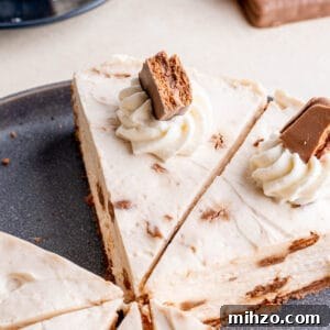 Decadent Tim Tam Cheesecake Recipe You’ll Love 6 img 8402 5