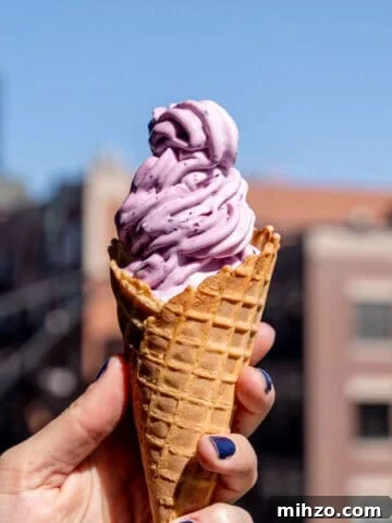 Blueberry lemon cheesecake ice cream swirled in a waffle cone.