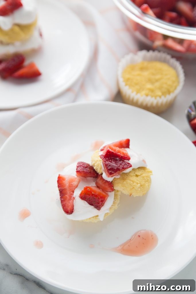 Strawberry Shortcake Recipe with Fresh Strawberries and Light Cream 3 Strawberry shortcake closeup