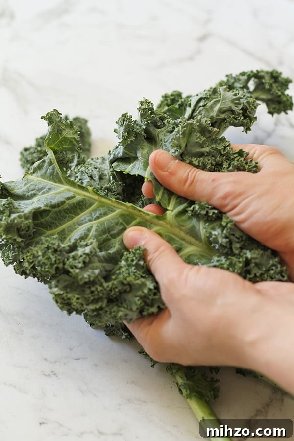 hands pulling kale leaves away from the stem.
