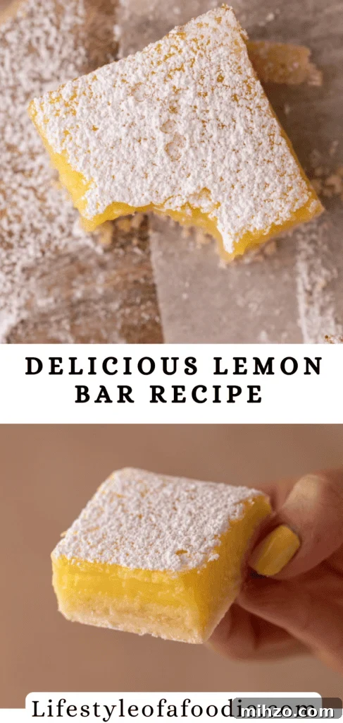 Small-Batch Lemon Bars Recipe: Perfect Citrus Dessert for Two 19 small batch lemon bars
