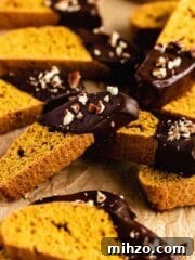 pumpkin biscotti covered in chocolate and chopped pecans