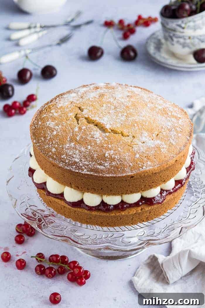 Vegan Victoria sponge cake - egg free and dairy free vanilla Victoria sandwich cake with jam and vanilla buttercream. Vegan Victoria sponge cake filled with jam and buttercream on a glass cake stand on a grey background with cherries and redcurrants.