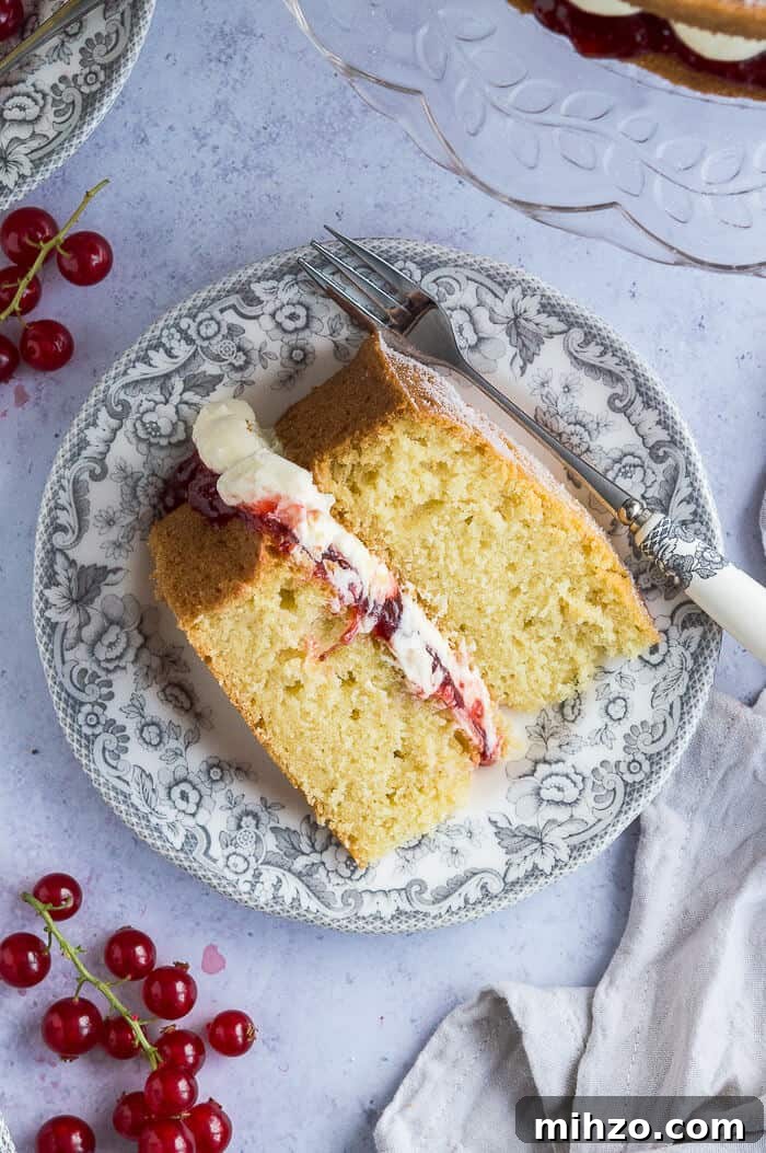 Vegan Victoria sponge cake slice. A slice of cake on a grey patterned plate with a cake fork and redcurrants on a grey background.