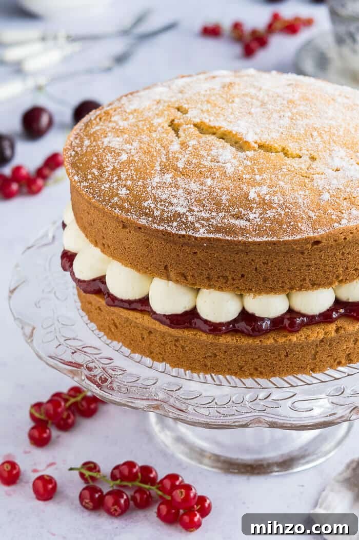 Close up of vegan Victoria sponge cake. Close up of the side of vegan victoria sponge cake filled with jam and blobs of buttercream on a glass cake stand.