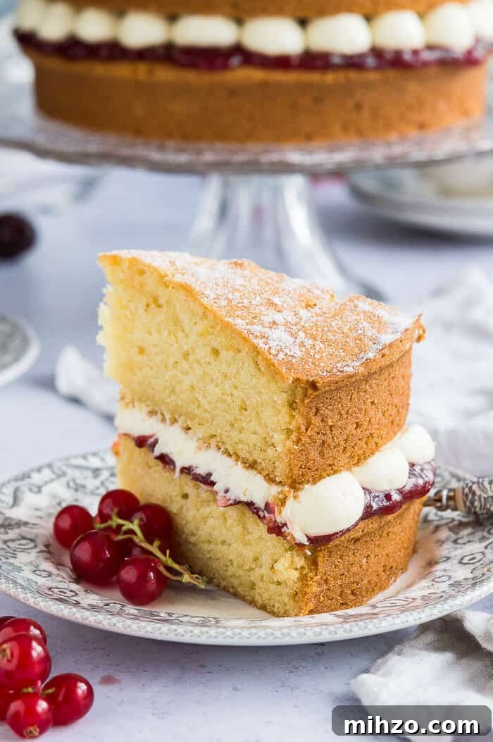 Vegan Victoria sponge cake. A slice of cake on a grey patterned plate with redcurrants and the whole cake in the background.