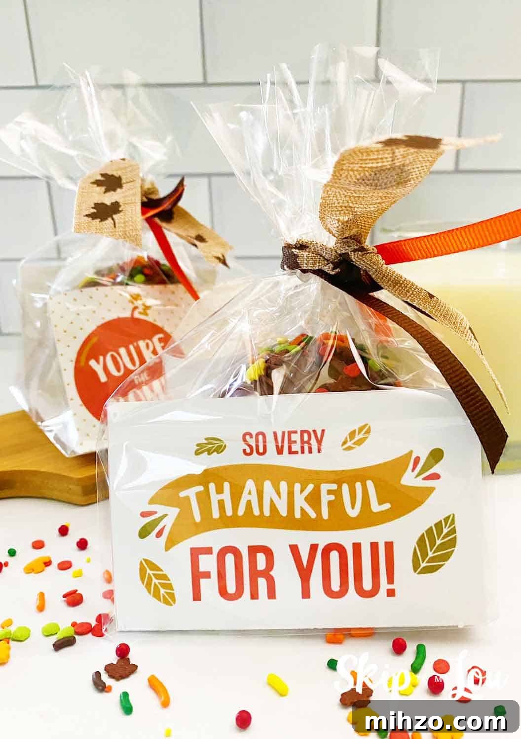 DIY Hot Cocoa Bombs with Free Printable Gift Tags 2 cocoa bombs package that say you're the bomb and so very thankful for you