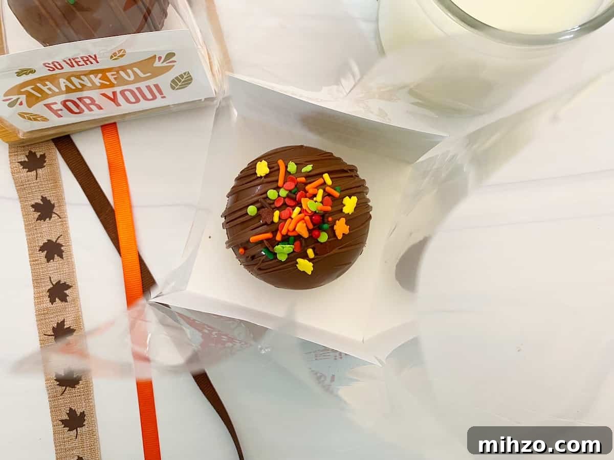 DIY Hot Cocoa Bombs with Free Printable Gift Tags 14 hot chocolate bomb in cello bag