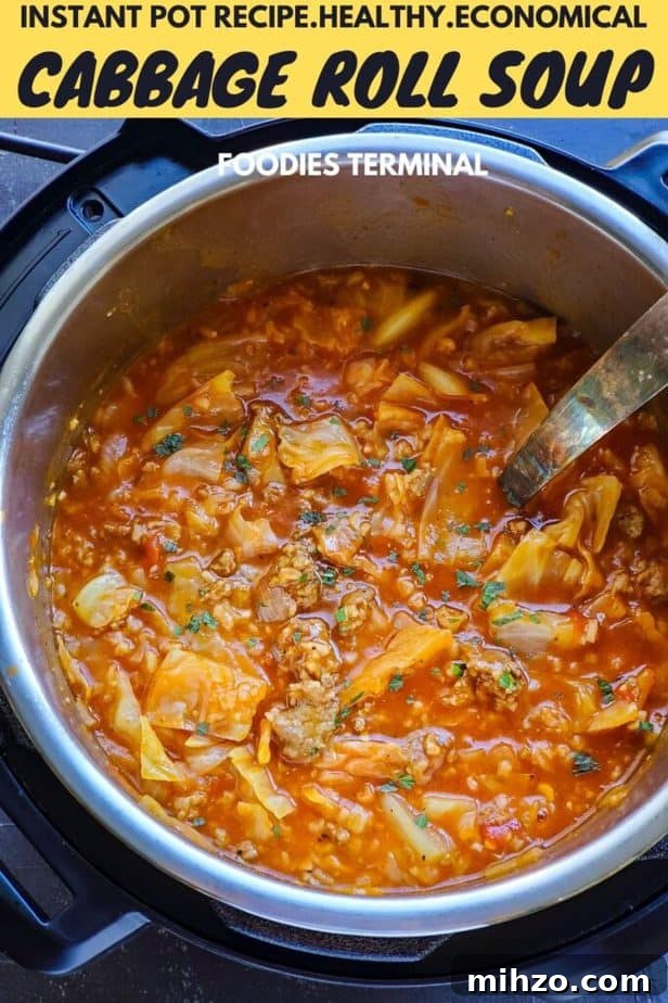 Instant Pot Unstuffed Cabbage Roll Soup Recipe 4 unstuffed cabbage roll soup in instant pot with a ladle