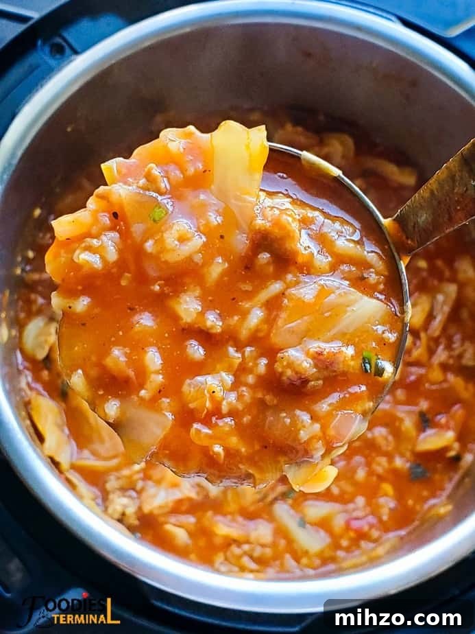 Instant Pot Unstuffed Cabbage Roll Soup Recipe 7 cabbage roll soup in the instant pot in a ladle