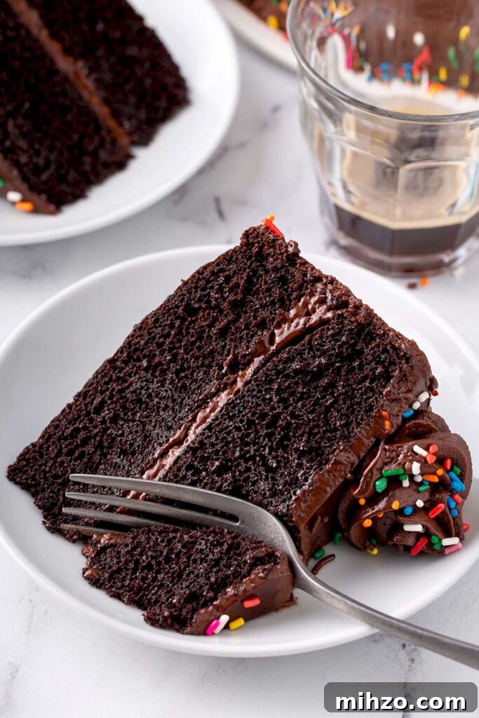 Classic Homemade Chocolate Cake Recipe 2 Slice of frosted chocolate cake on a plate