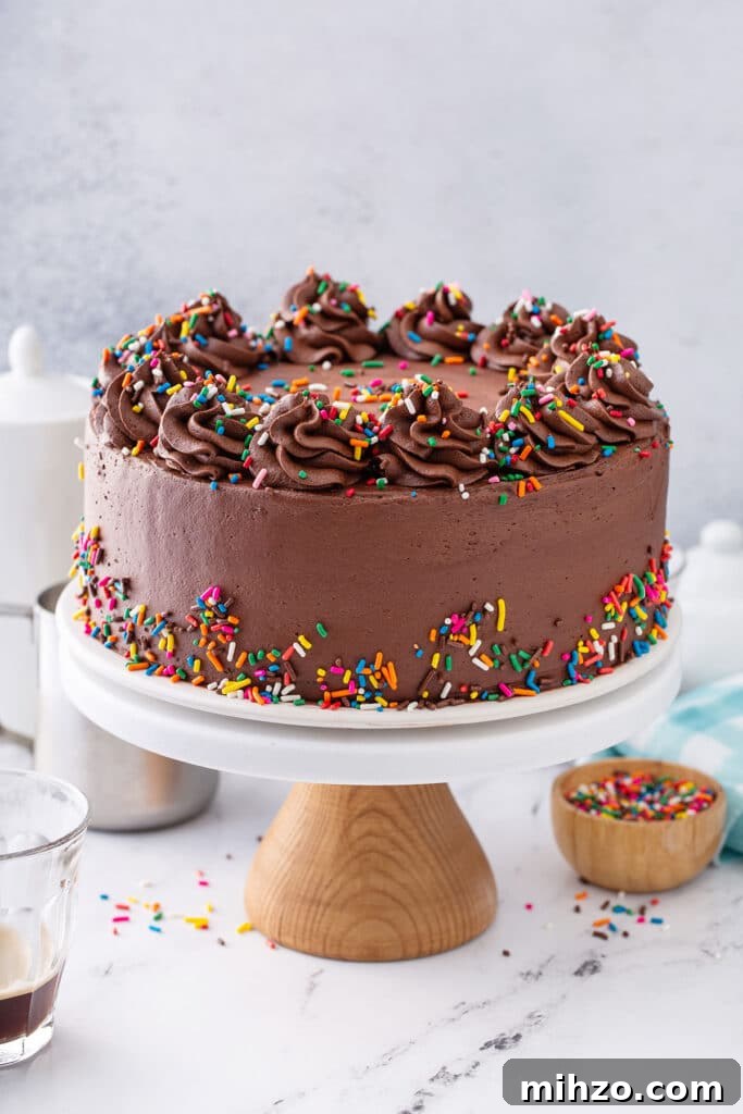 Classic Homemade Chocolate Cake Recipe 8 A chocolate cake frosted with chocolate buttercream and decorated with sprinkles