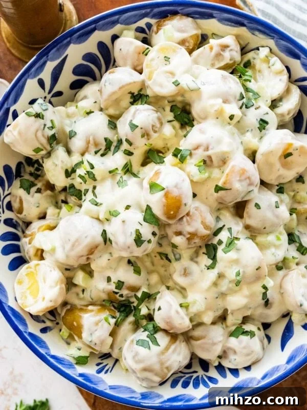 Italian Potato and Green Bean Salad Recipe 12 Blue and white bowl of creamy potato salad garnished with tarragon.
