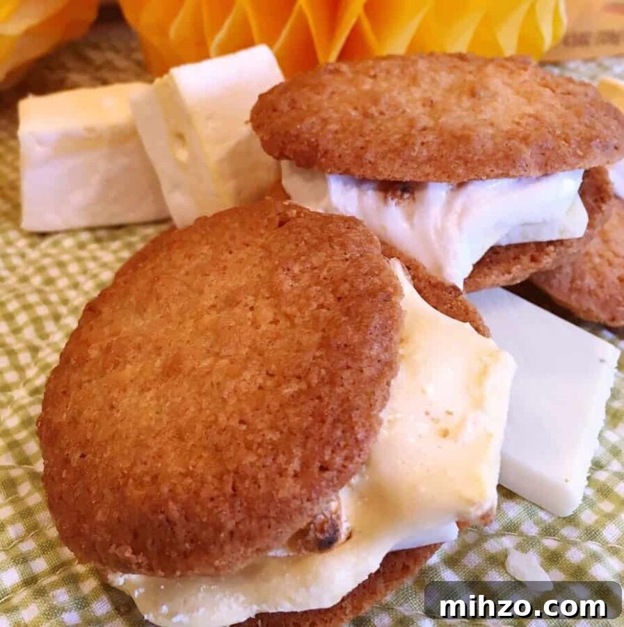 Tropical S'mores with Pineapple and Coconut 2 Tropical S'mores
