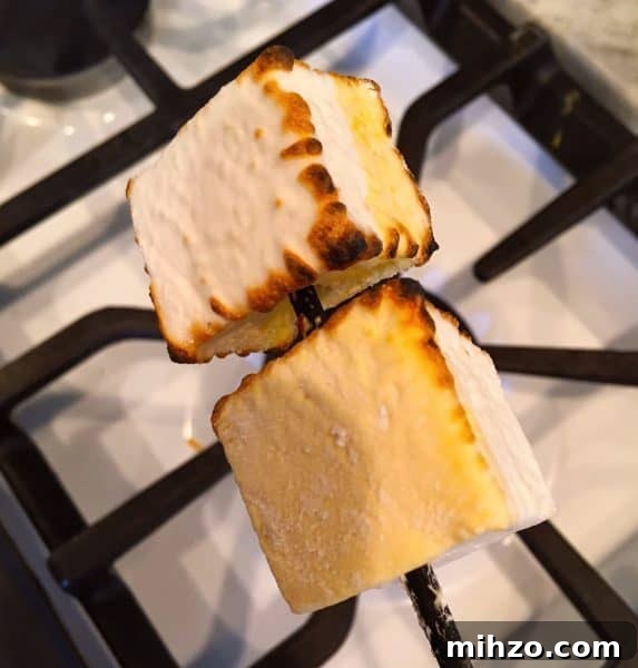 Tropical S'mores with Pineapple and Coconut 6 Toasting Marshmallows
