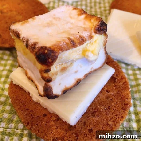 Tropical S'mores with Pineapple and Coconut 7 Place Toasted Marshmallow on top of cookie and chocolate
