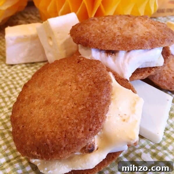 Tropical S'mores with Pineapple and Coconut 9 Two Coconut Tropical Smores