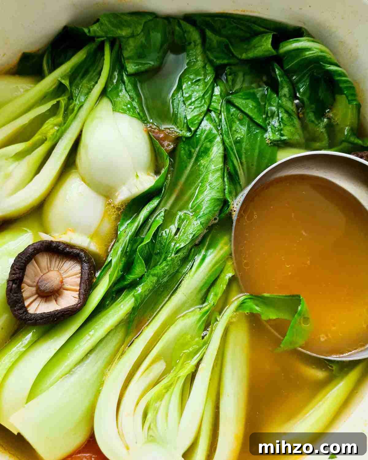 Ginger and Garlic Bok Choy Soup Recipe 2 Close up of vegetable soup with a ladle of soup