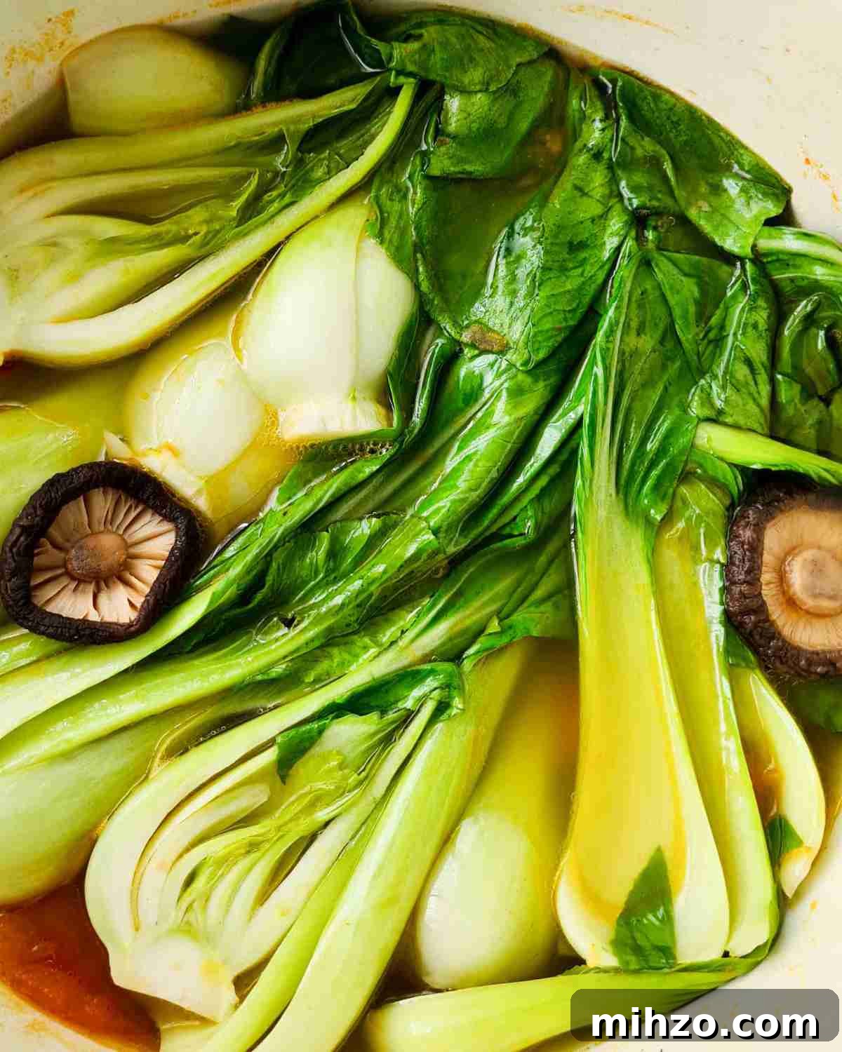 Ginger and Garlic Bok Choy Soup Recipe 12 Close up of vegetable soup